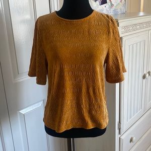 Textured Velvet Madewell Blouse